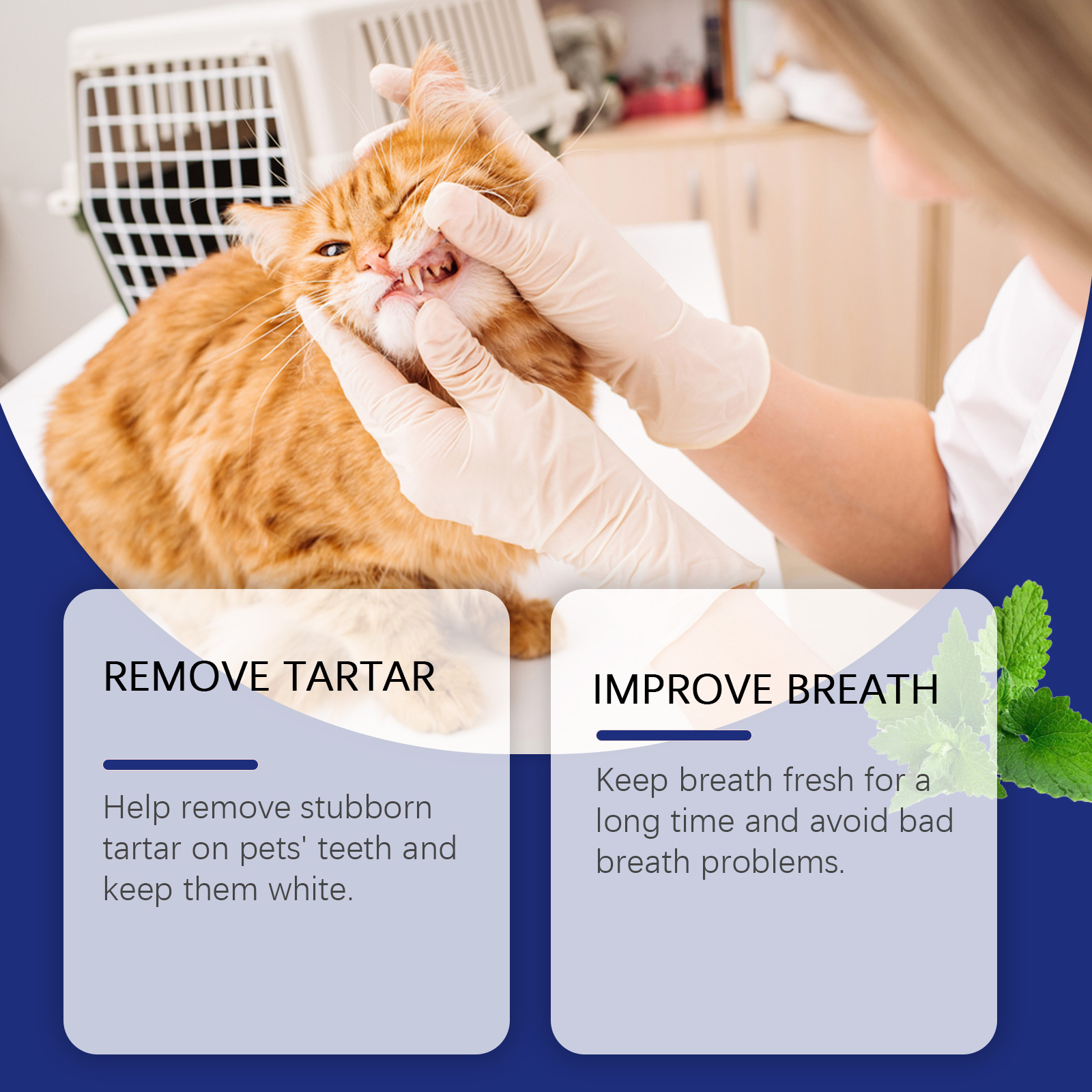 Pet Tartar Removal Tooth Powde - Teeth Whitening Powder บทวิจารณ์และราคา