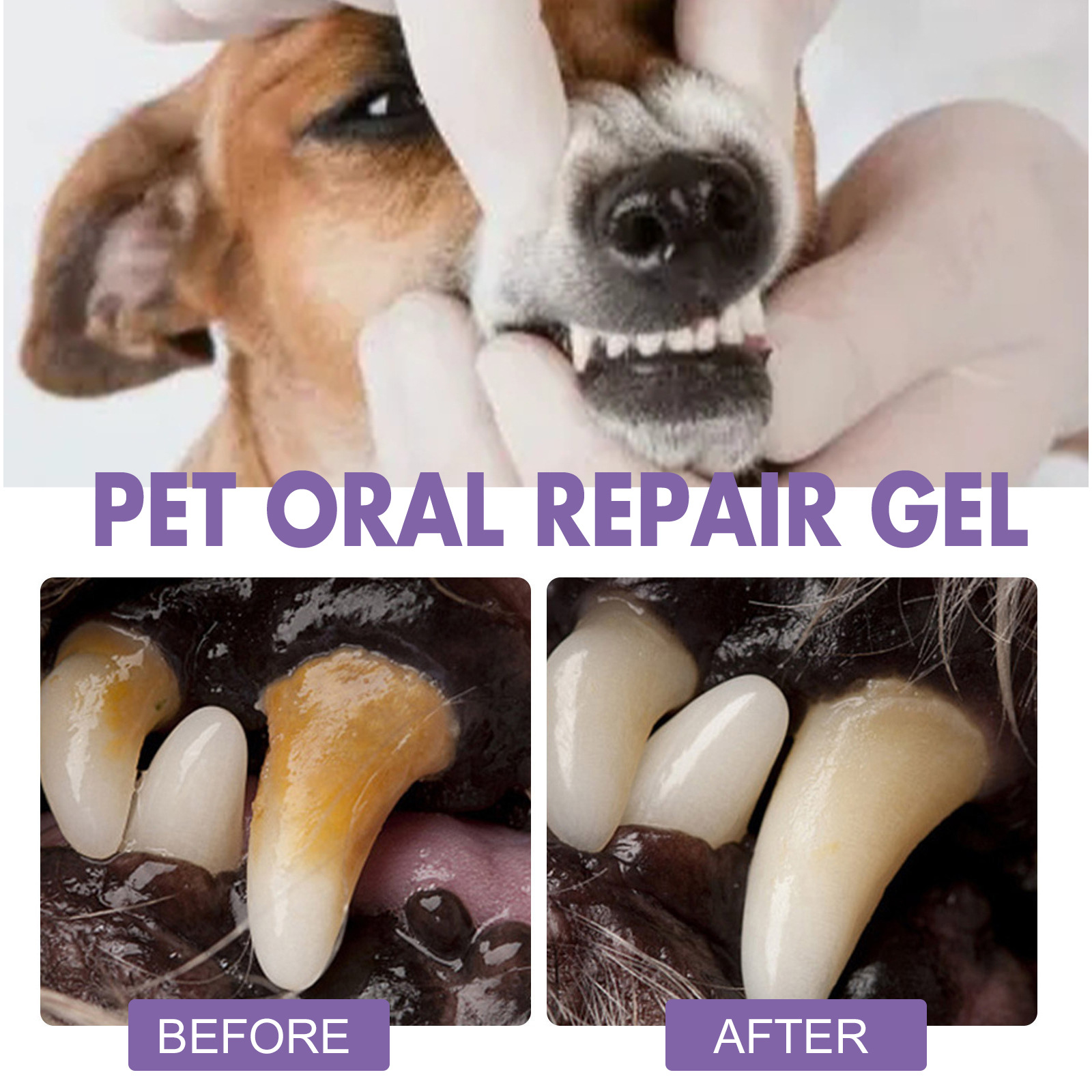 Pet Oral Repair Gel Puppy Tart - Teeth Whitening With Peroxide บทวิจารณ์และราคา