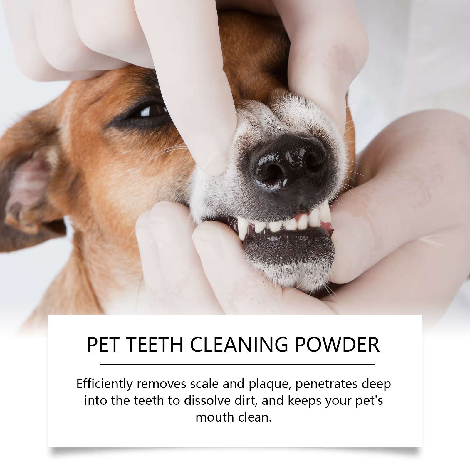 Pet Teeth Cleaning Powder Redu - Teeth Whitening Powder บทวิจารณ์และราคา