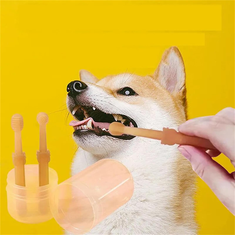 Teeth Whitening Dog Cat Silico - Teeth Whitening Vape บทวิจารณ์และราคา