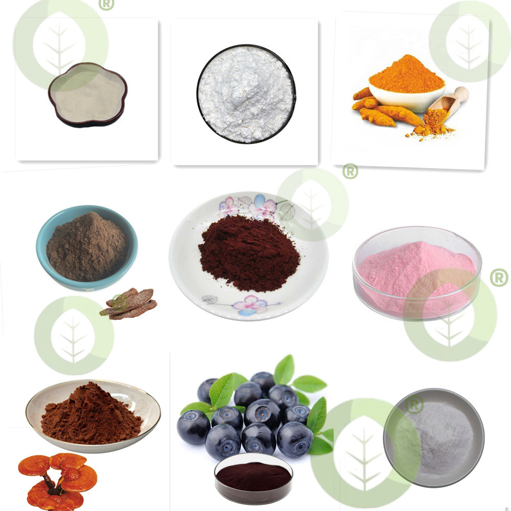 Food Grade Using for Toothpast - Hydroxyapatite Toothpaste บทวิจารณ์และราคา
